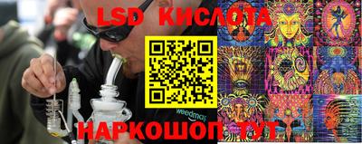 spice Заводоуковск