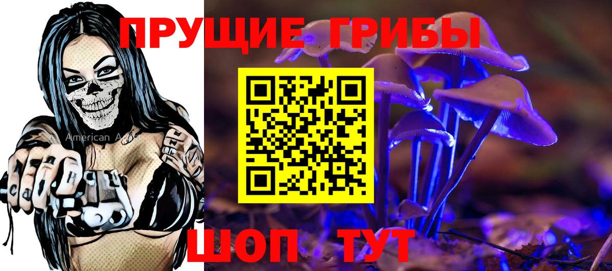 Галлюциногенные грибы Psilocybine cubensis Лянтор